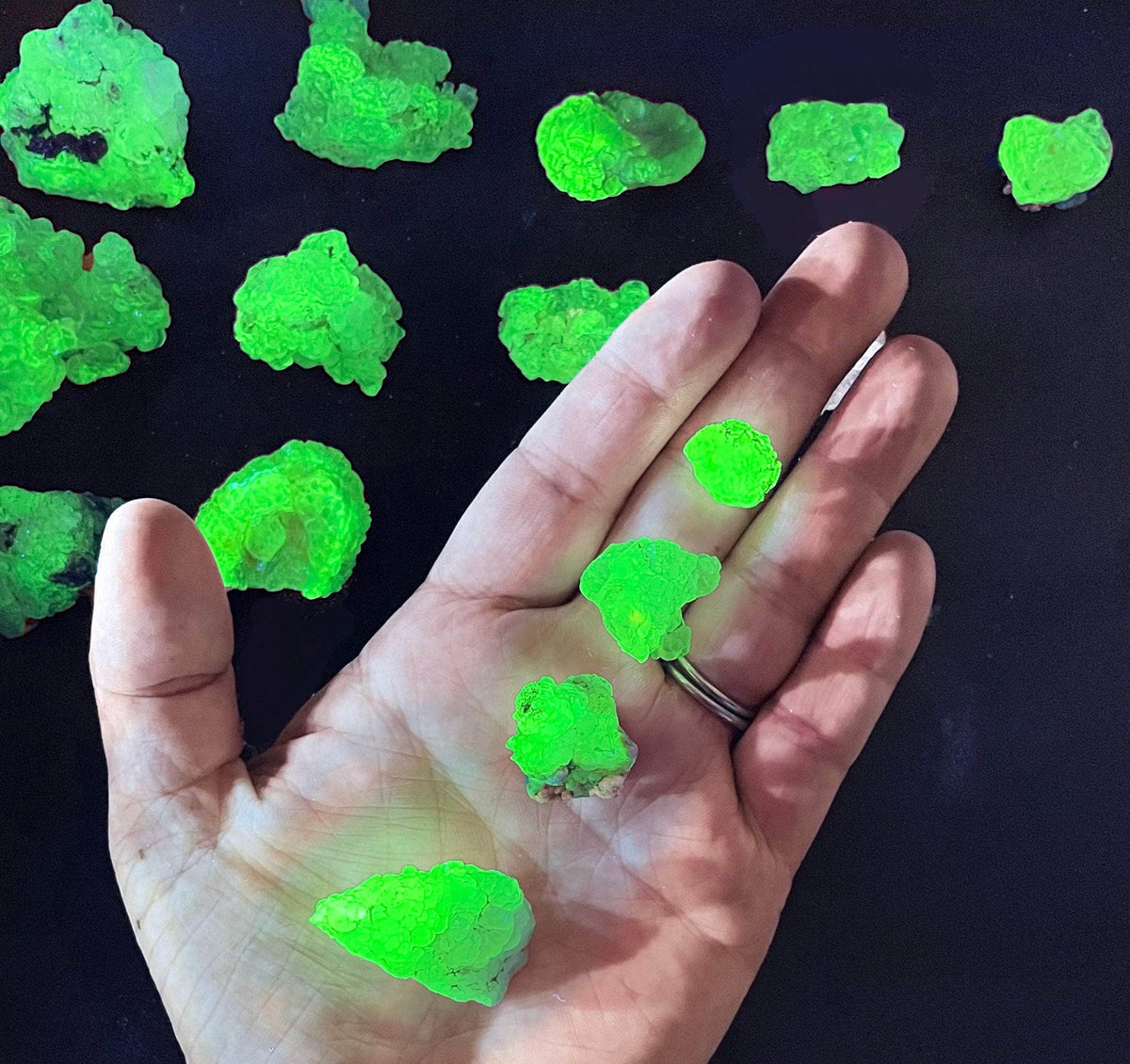 Hand Picked UV Minerals | MinerShop