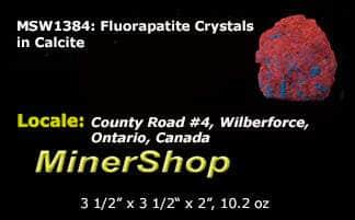 Fluorapatite Crystals in Calcite from Canada