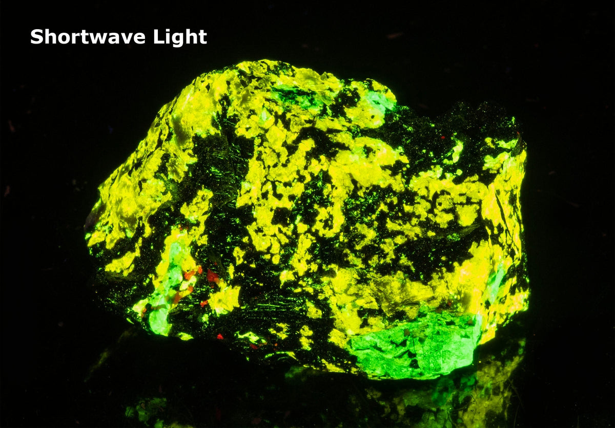 SW_1bb42cf4-8585-484f-89c3-