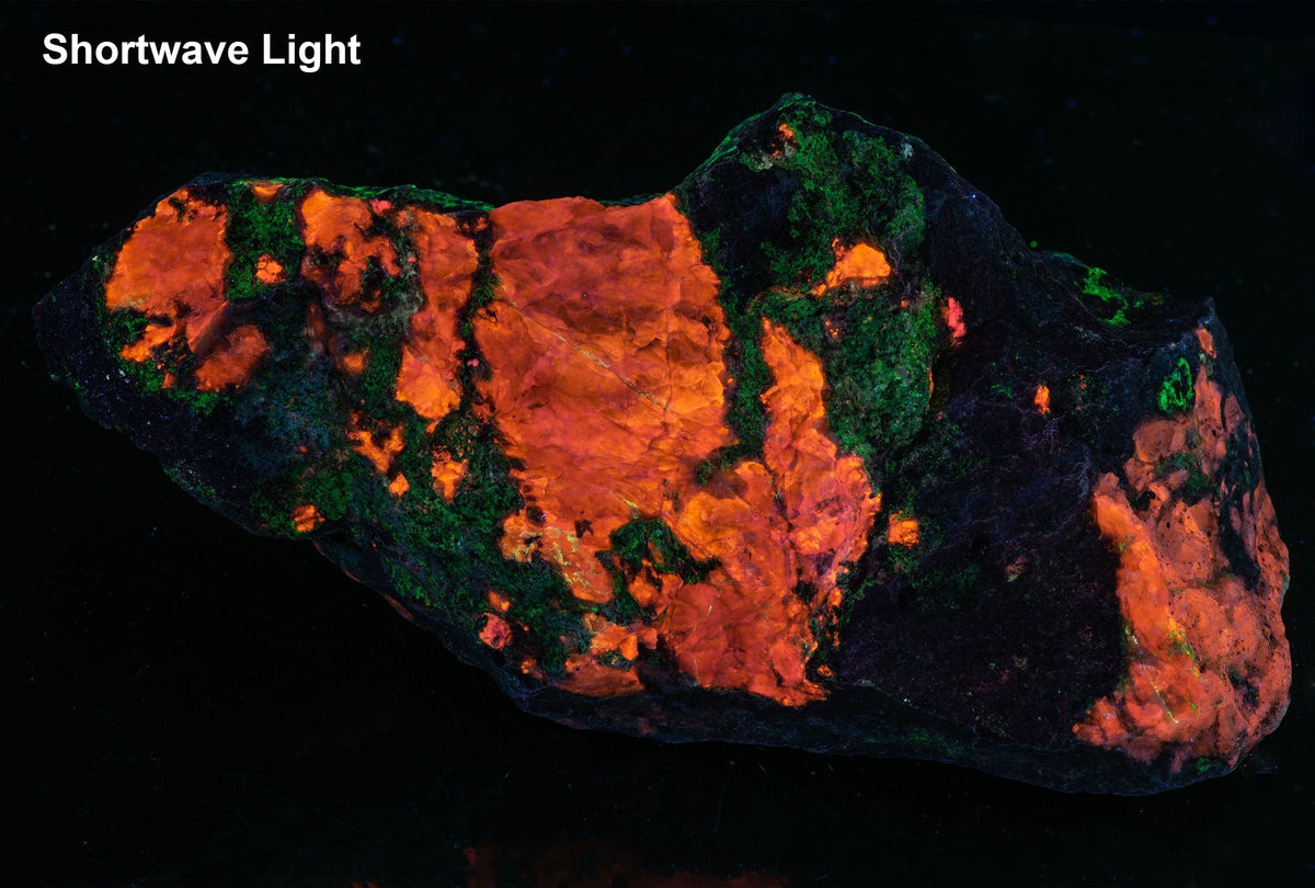 SW_486cab87-fbd4-4dc5-a9dc-