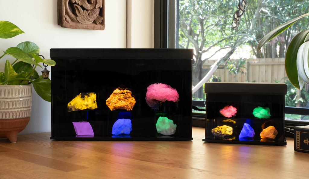 A mineral display case