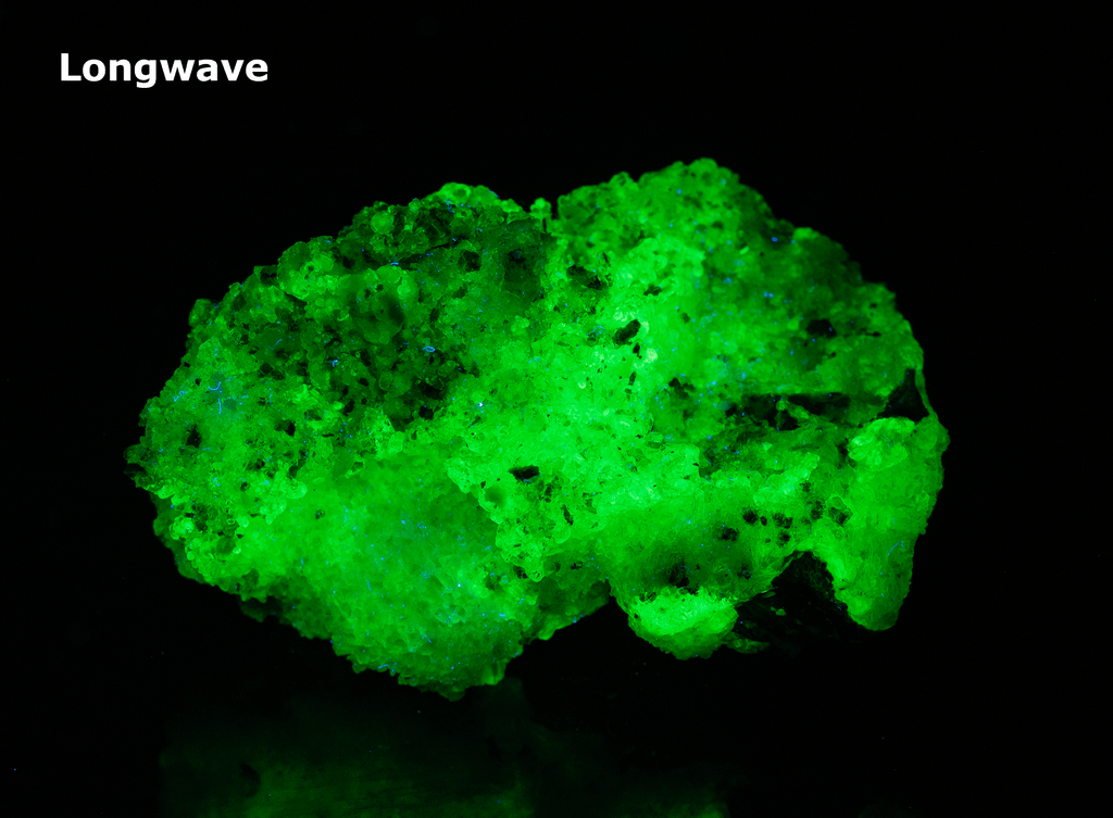 Bright green opal specimen. The hyalite opal shows a bright green fluorescent response under both shortwave and longwave UV.