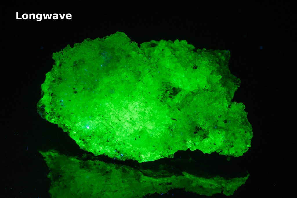 Bright green opal specimen. The hyalite opal shows a bright green fluorescent response under both shortwave and longwave UV.