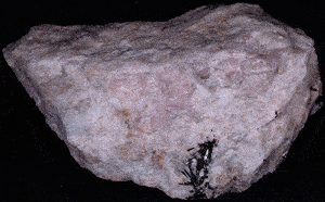 A piece of tenebrescent hackmanite or sodalite