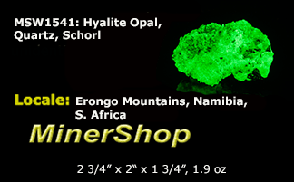 Bright green opal specimen. The hyalite opal shows a bright green fluorescent response under both shortwave and longwave UV.