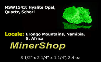 Bright green opal specimen. The hyalite opal shows a bright green fluorescent response under both shortwave and longwave UV.