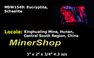 bright red eucryptite along with spots of bright blue scheelite. Eucryptite is fluorescent a vibrant red under shortwave UV 