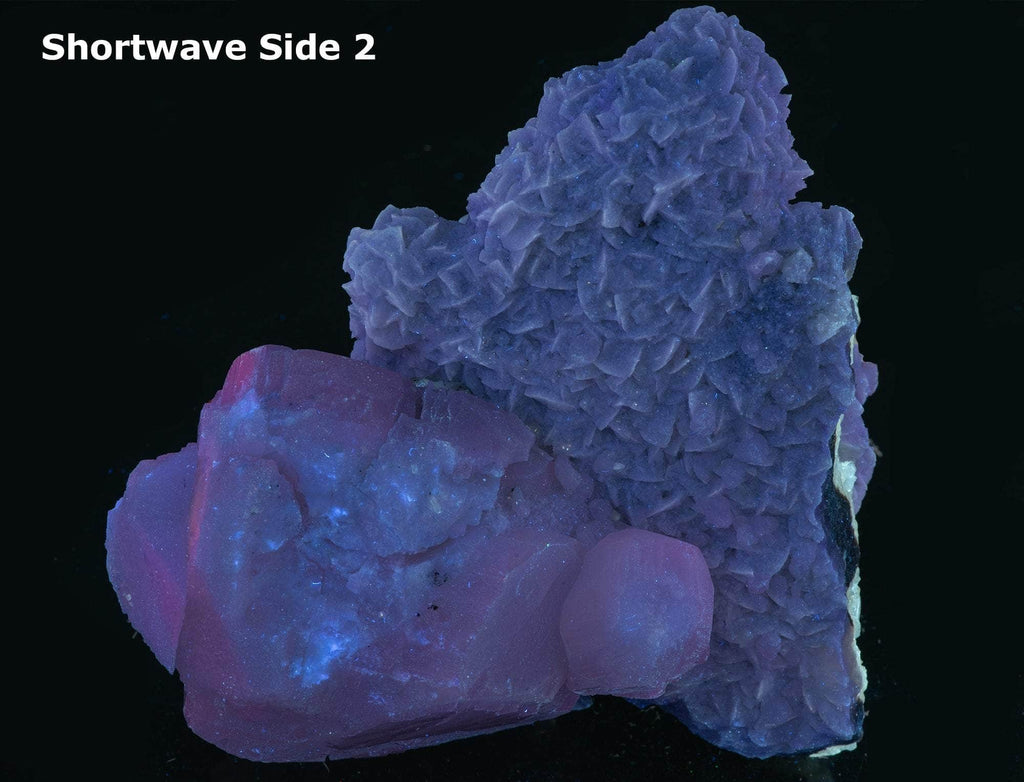  calcite in two different habits along with cubic honey brown fluorite crystals. 
