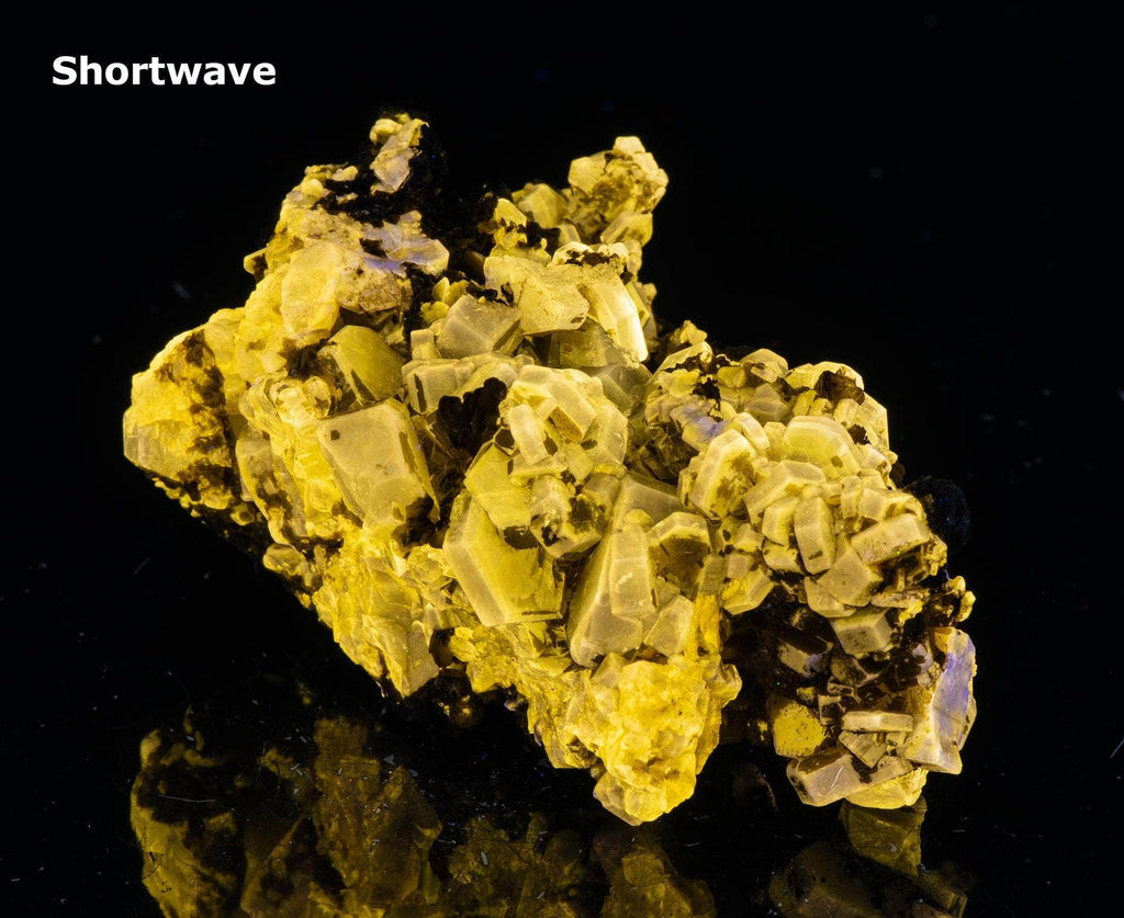 Nicely formed apatite crystals brightly fluorescent under shortwave and midwave UV light. 