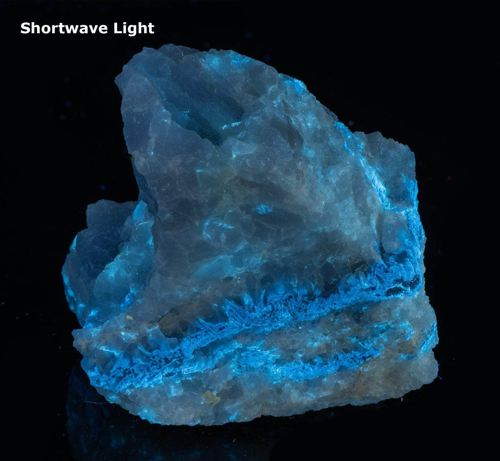 Blue dumortierite on top of a matrix of white quartz.