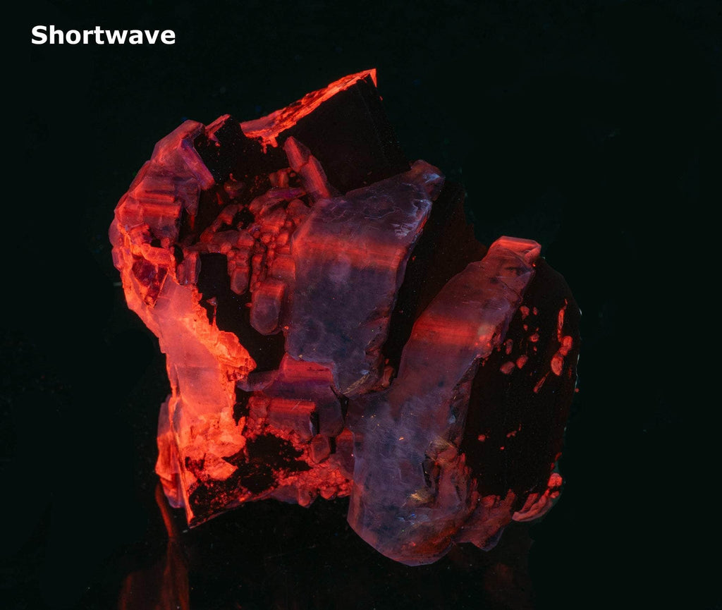 Reddish-brown chocolate calcite brightly fluorescing a red and purple under shortwave UV with excellent zoning