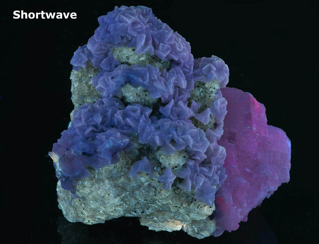 calcite in two different habits along with cubic honey brown fluorite crystals. 