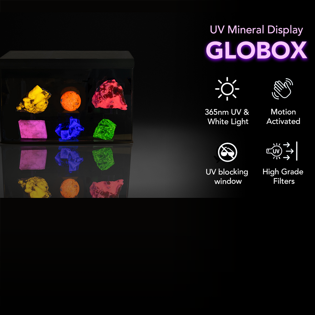 uv mineral display case