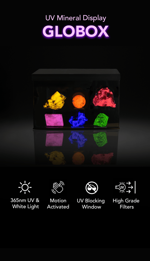 uv mineral display case