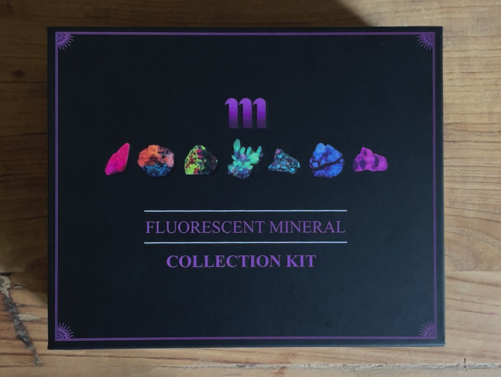 fluorescent mineral collection box showing fluorescent sodalite, purple fluorite, calcite rhomb and UV flashlight
