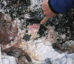 Tugtupite in vein