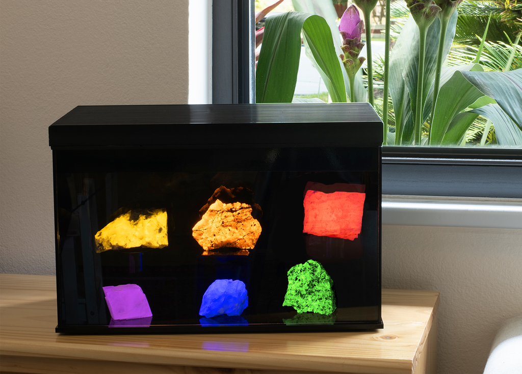 uv reactive mineral display case