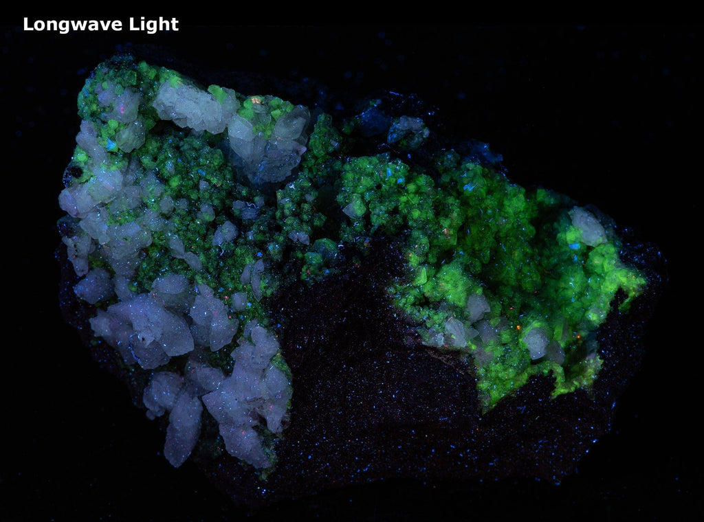 Sparkling, yellow-green, adamite crystals embedded in a limonite matrix along with larger, well-formed, white calcite crystals