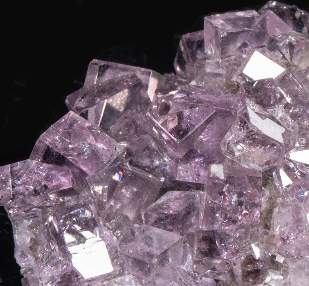 A beautiful specimen with well-formed purple fluorite crystals